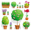 Set of pot plants