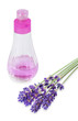 Photo: lavender lavender