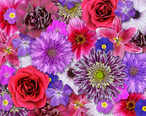 Photo: Red, Pink, Purple Flower Background Red, Pink, Purple Flower Background