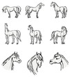 Standing Horses