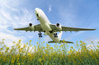 Aircraft takes off over the meadow
