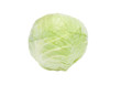 Head of green cabbage
