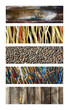 Fond, texture, abstrait, matière, bandeau, bannière