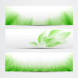 green banner set