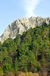 Parque Natural de Grazalema