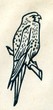 Detail of german first day cover "European falconiformes"