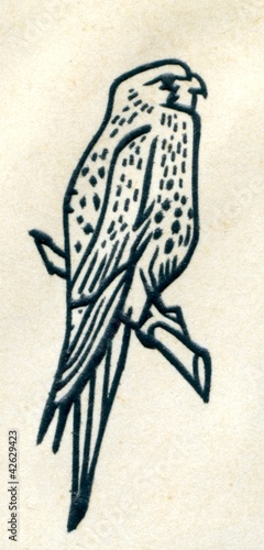 Foto: Detail of german first day cover "European falconiformes" Detail of german first day cover "European falconiformes"