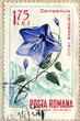 Foto: Canceled romanian stamp "Carpathian harebell" Canceled romanian stamp "Carpathian harebell"