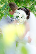 the wedding kiss