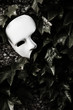 Masquerade - Phantom of the Opera Mask on Ivy Wall