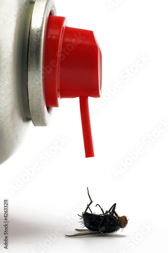 Photo: insektenspray mit fliege insektenspray mit fliege