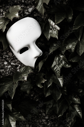 Photo: Masquerade - Phantom of the Opera Mask on Ivy Wall Masquerade - Phantom of the Opera Mask on Ivy Wall