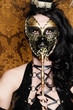 Mysterious Masquerade - Sexy Vixen with Venetian Mask
