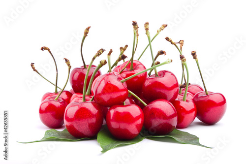 Foto: Sweet cherry fruit isolated on white background Sweet cherry fruit isolated on white background