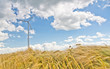 Photo: Windenergy Windenergy