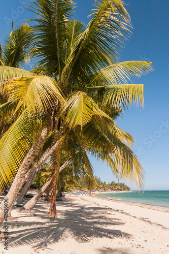 Photo: The beach of Ifaty The beach of Ifaty