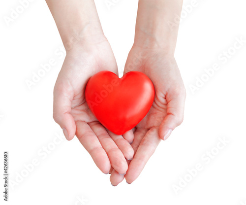 Photo: heart in hands heart in hands