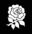 Illustration: Abstract stylised national rose emblem of England Abstract stylised national rose emblem of England