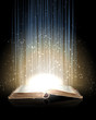 Magic book