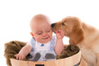 bébé qui joue avec son chiot