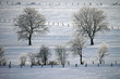 Foto: Winterlandschaft in Alverdissen Winterlandschaft in Alverdissen