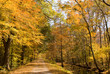 Autumn Path Autumn Path