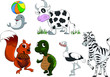 Animals