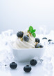 Frozen Blueberry Joghurt