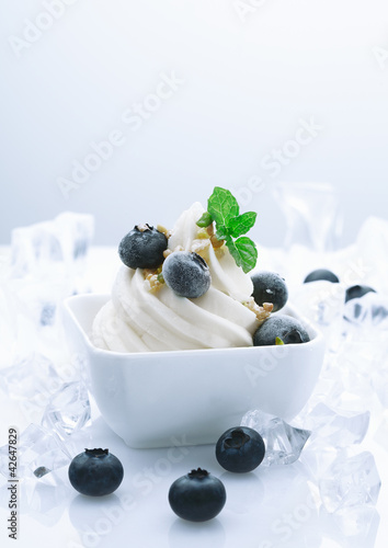 Foto: Frozen Blueberry Joghurt Frozen Blueberry Joghurt