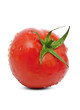 Fresh Red Tomato