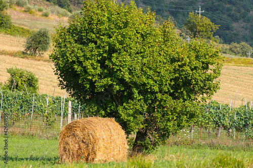 Photo: small town in the mountains in Italy, Cigillo small town in the mountains in Italy, Cigillo