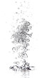 Bubbles in water