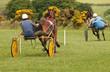 Trotting Race