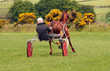 Trotting Race
