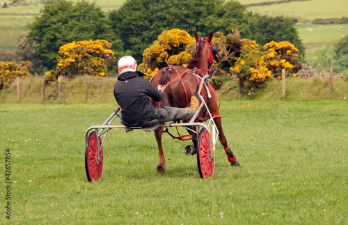 Photo: Trotting Race Trotting Race