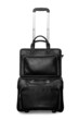 Travel or business bag