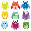 Isolated owls