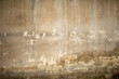 Alte Mauer
