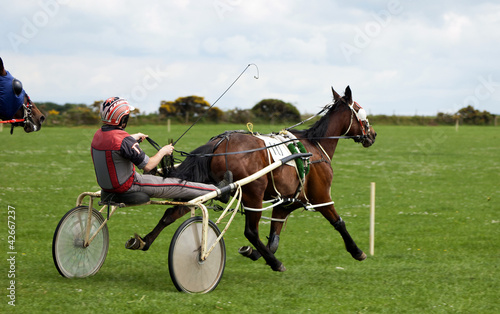 Photo: Trotting Race Trotting Race