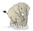 Vector: Elephant Elephant