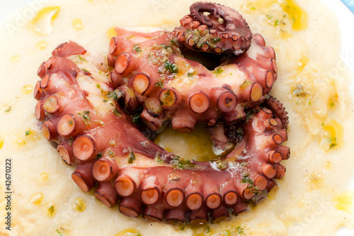Photo: Boiled octopus on potato mousse. Boiled octopus on potato mousse.