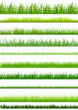 10 Backgrounds Of Green Grass, Isolated On White Background