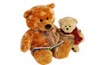 The bear reads the book to a bear cub.