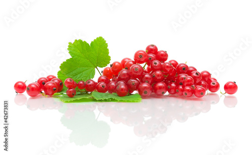 Photo: ripe red currants on a white background with reflection ripe red currants on a white background with reflection