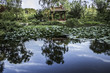 Chinese Pavilion reflected in a pond in Nanjing China
