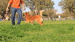 Man and dog playing in the park.