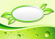 vector template "pure and natural"