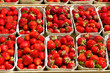 Erbeeren