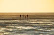 Landschaft am Nordseedeich