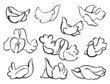 Pigeons